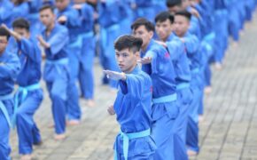 FPT Edu phá vỡ mọi kỷ lục Việt Nam về đồng diễn võ thuật