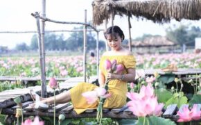 Giới trẻ thoả sức “check in” hồ sen ở vùng cát trắng Ninh Thuận