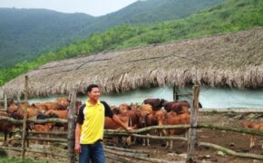 Thầy giáo trẻ với trang trại tiền tỷ trên mảnh đất khó