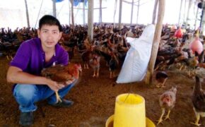 Bình Định: Thanh niên nuôi gà nhận giải thưởng Lương Định Của