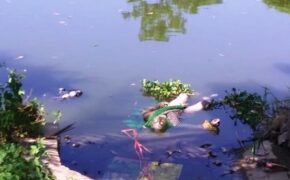 Phát hiện thi thể nam thanh niên phân hủy trên sông