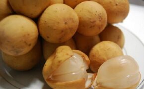 Những sai lầm khi ăn quả bòn bon nhiều người chưa biết