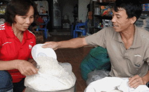 Có hay không gạo nhựa trên thị trường