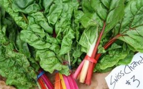 Dân Hà thành rủ nhau trồng rau cải… lạ