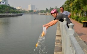 Những quan niệm sai lầm trong lễ cúng ông Công, ông Táo nhiều người mắc