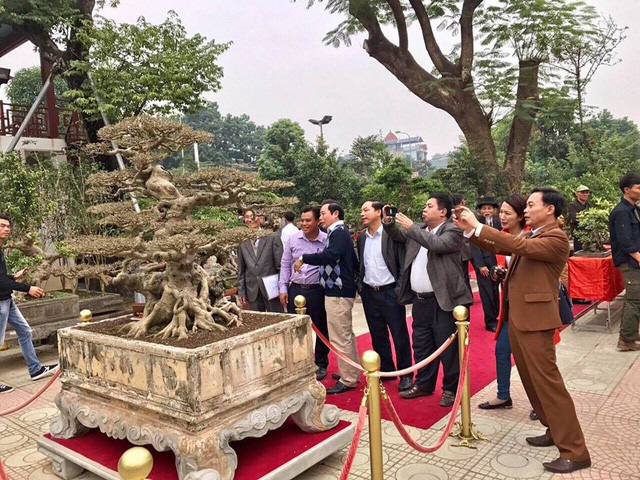 Năm 2017, thương vụ mua bán siêu cây Dấu ấn thời gian từng gây xôn xao dư luận. Thậm chí, sau khi sở hữu siêu cây cảnh giá trị này, chủ nhân mới còn mời dân chơi sinh vật cảnh ở khắp mọi miền đất nước về mở tiệc linh đình.