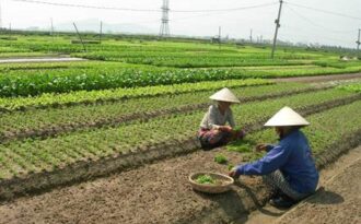 Đà Nẵng giảm được hơn 6.800 hộ nghèo năm 2013