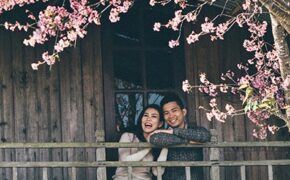 Ảnh cưới đẹp như mơ dưới tán hoa anh đào Đà Lạt