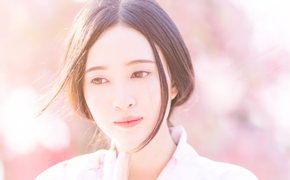 Thiếu nữ Sài Gòn đẹp như tranh vẽ bên hoa anh đào