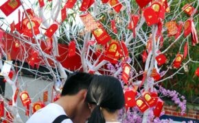 Đón tết tha hương, gửi nỗi niềm trên “cây điều ước”