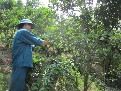 Không đại học chàng trai tay không vẫn trở thành ông chủ