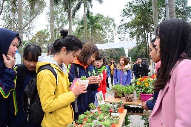  Gian hàng hoa sen đá luôn được nhiều bạn trẻ tới xem và đổi cây nhất bởi loài cây này khá bền và đẹp, lại có giá cả rất phải chăng. Mỗi bạn đều lựa chọn kỹ càng để có thể sở hữu được cây ưng ý nhất. 