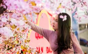 Ăn Tết, chơi Tết, sắm Tết ở đâu?