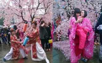 Lễ hội hoa anh đào vẫn hút giới trẻ dù thời tiết…dở tệ