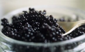 “Sốc” với những món ăn giá nghìn đô của đại gia Việt