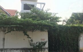 Cảnh ám ảnh trong biệt thự tiền tỷ, cỏ mọc um tùm ở Sài Gòn