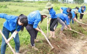 Tài năng trẻ: Tôn vinh xong họ đi đâu?