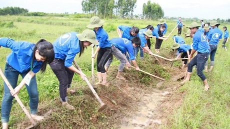 Các hoạt động tình nguyện năm nay giải quyết được nhiều vấn đề bức thiết của xã hội.