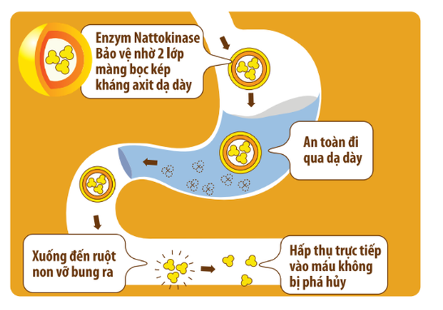 Coi thường mỡ nhiễm máu - Những biến chứng nguy hiểm không ngờ - 2 Coi thường mỡ nhiễm máu - Những biến chứng nguy hiểm không ngờ - 2