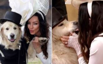 Người mẫu Anh làm đám cưới với thú cưng sau 220 lần hẹn hò thất bại