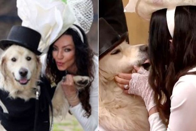 Người mẫu Anh làm đám cưới với thú cưng sau 220 lần hẹn hò thất bại - 1