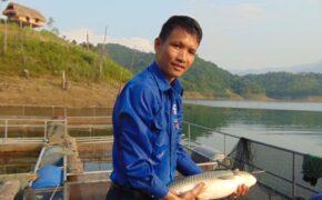 Nghệ An: Bí thư Đoàn xã nuôi cá lồng bè, thu nhập trăm triệu đồng mỗi tháng