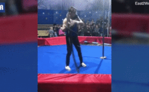 Diễn viên xiếc bị trăn siết cổ đến bất tỉnh