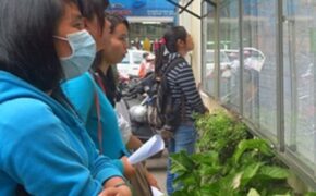 Rủi ro rình rập sinh viên làm thêm dịp cuối năm