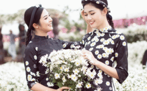 Hoa hậu Ngọc Hân, Á hậu Thanh Tú khoe sắc với cúc họa mi