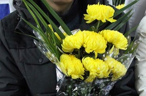 Tâm sự của nữ sinh học nghề chăm sóc… người chết