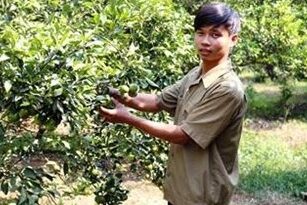 Những triệu phú nông dân 9X