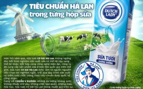 Sữa tươi chuẩn Hà Lan – Một gợi ý lời giải cho bài toán chọn sữa của mẹ