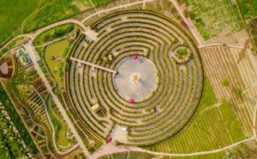 Lạc vào mê cung hoa khổng lồ tại Hà Nội