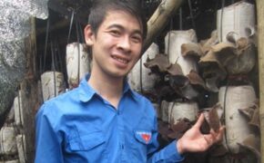 Bí thư chi Đoàn thu nhập 300 triệu/năm từ nấm