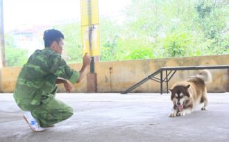 Những nghề nhàn nhã kiếm tiền tỷ khó tin ở Hà Nội