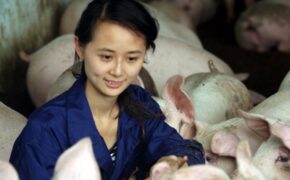 Nghề tạm độc đáo của SV Trung Quốc hòng tránh thất nghiệp