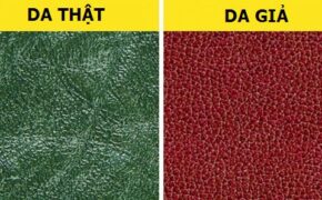 Cách phân biệt chất liệu da thật và da tổng hợp