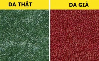 Cách phân biệt chất liệu da thật và da tổng hợp