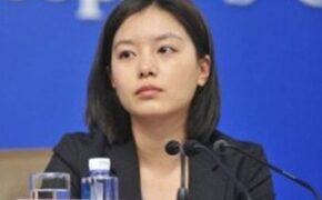 Phát sốt vì nữ phiên dịch xinh đẹp nhất quốc hội Trung Quốc