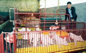 Làm giàu từ hai bàn tay trắng