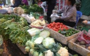 Dấu hiệu nhận biết rau muống nhiễm chì