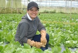 Lên núi học trồng rau