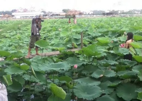 Với những cầu tre không chắc chắn, không ít bạn trở thành nạn nhân do đi không quen trên đó.