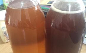 Sính mật ong rừng đừng để “tiền mất, tật mang” vì thiếu hiểu biết