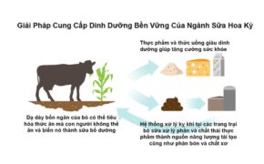 Bơ sữa Hoa Kỳ: Các biện pháp sáng tạo bảo vệ môi trường