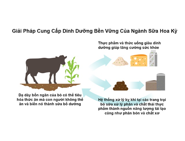 Bơ sữa Hoa Kỳ: Các biện pháp sáng tạo bảo vệ môi trường - 1