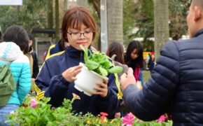 Sinh viên tổ chức đổi giấy vụn lấy cây cảnh