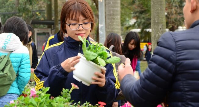 Sinh viên tổ chức đổi giấy vụn lấy cây cảnh