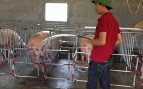 Làm giàu từ 20 triệu đồng vốn