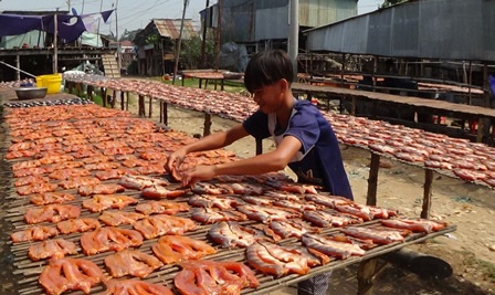 Vào dịp gần tết là mùa ăn nên làm ra của làng khô nổi tiếng này